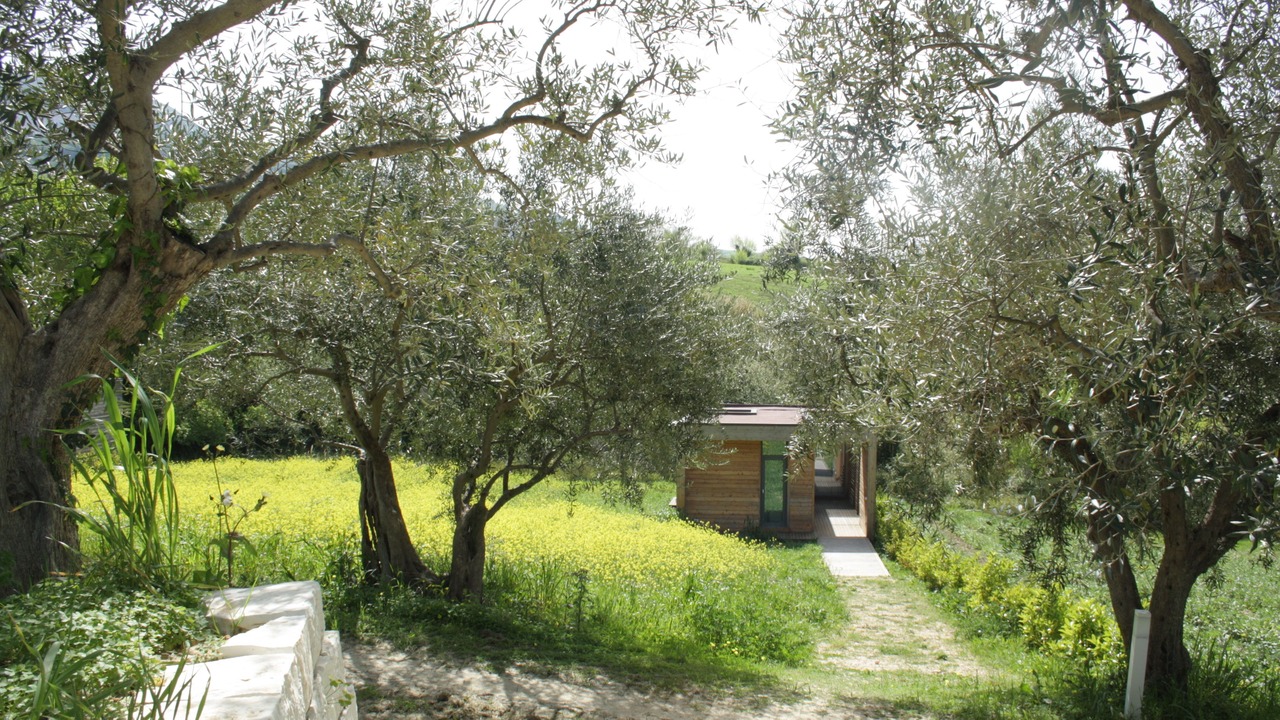 Photo of Outdoor in Corleone