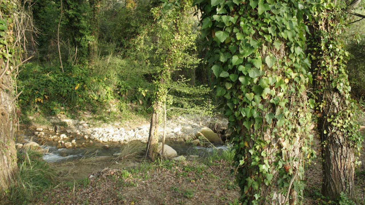 Photo of Outdoor in Corleone