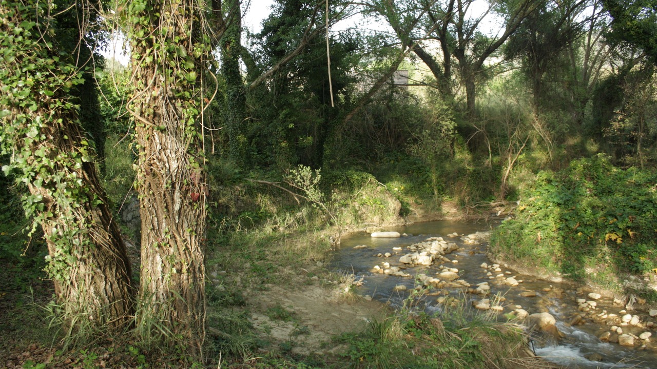 Photo of Outdoor in Corleone
