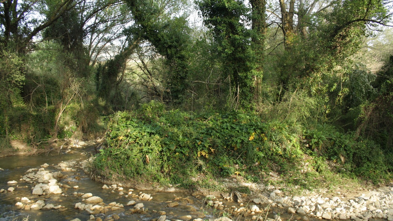 Photo of Outdoor in Corleone