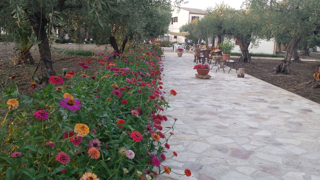 Photo of Outdoor in Marinella di Selinunte