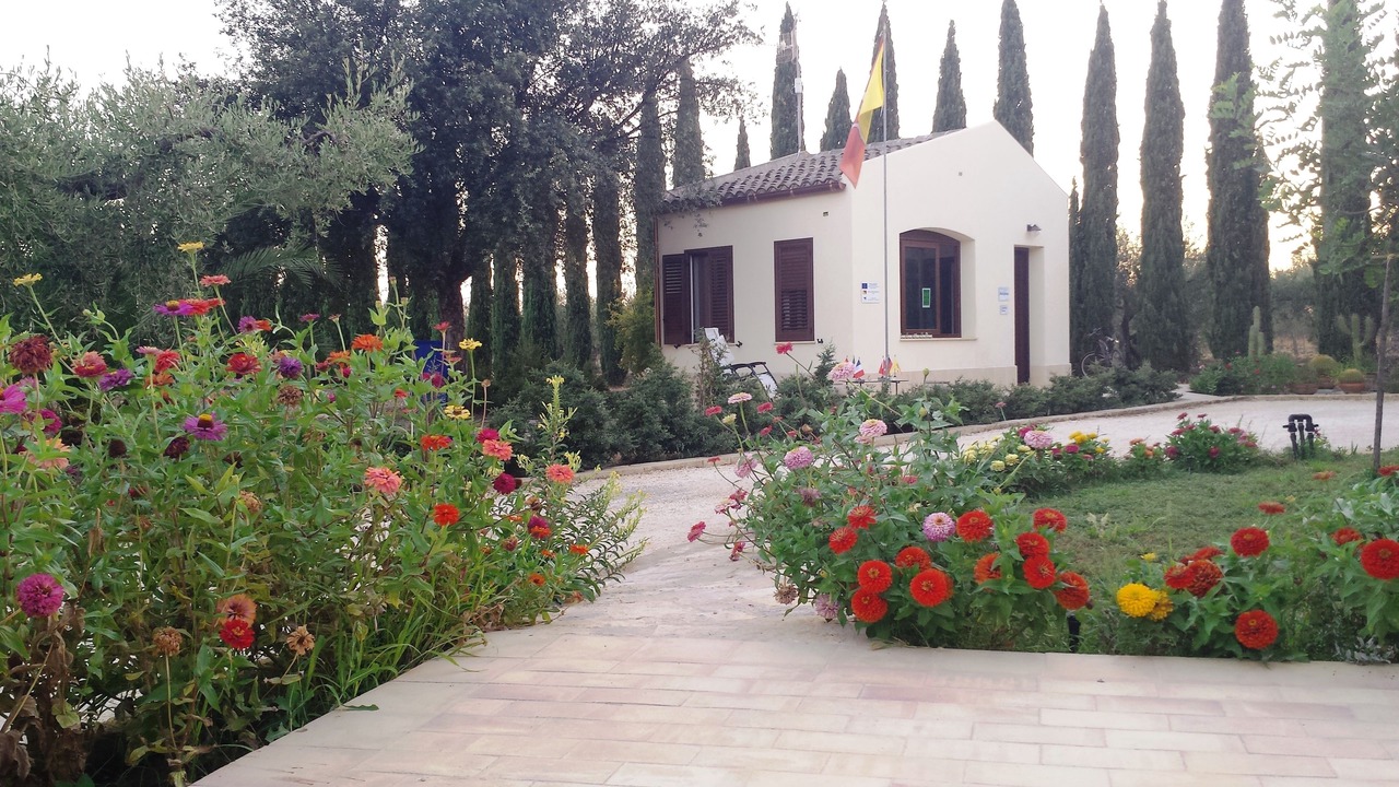 Photo of Others in Marinella di Selinunte