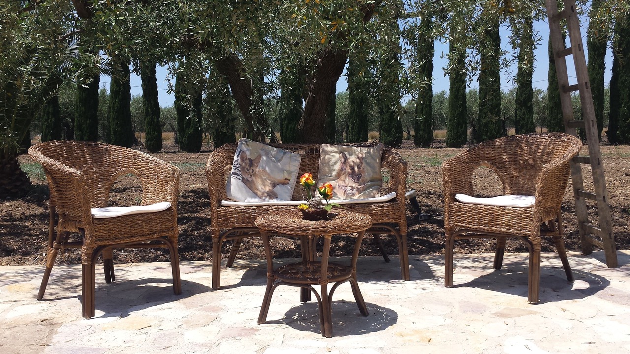 Photo of Patio Balcony in Marinella di Selinunte