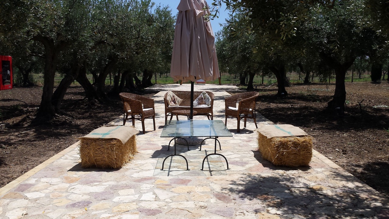 Photo of Outdoor in Marinella di Selinunte