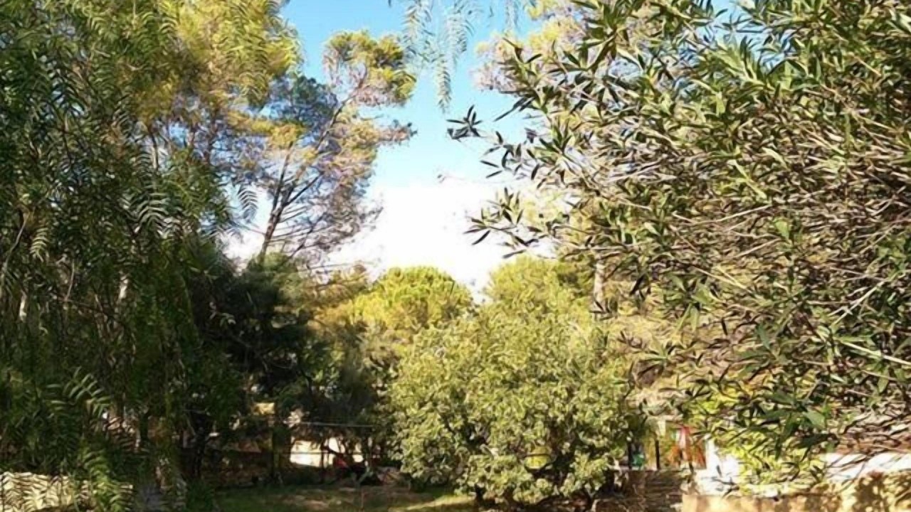 Photo of Outdoor in Montevago