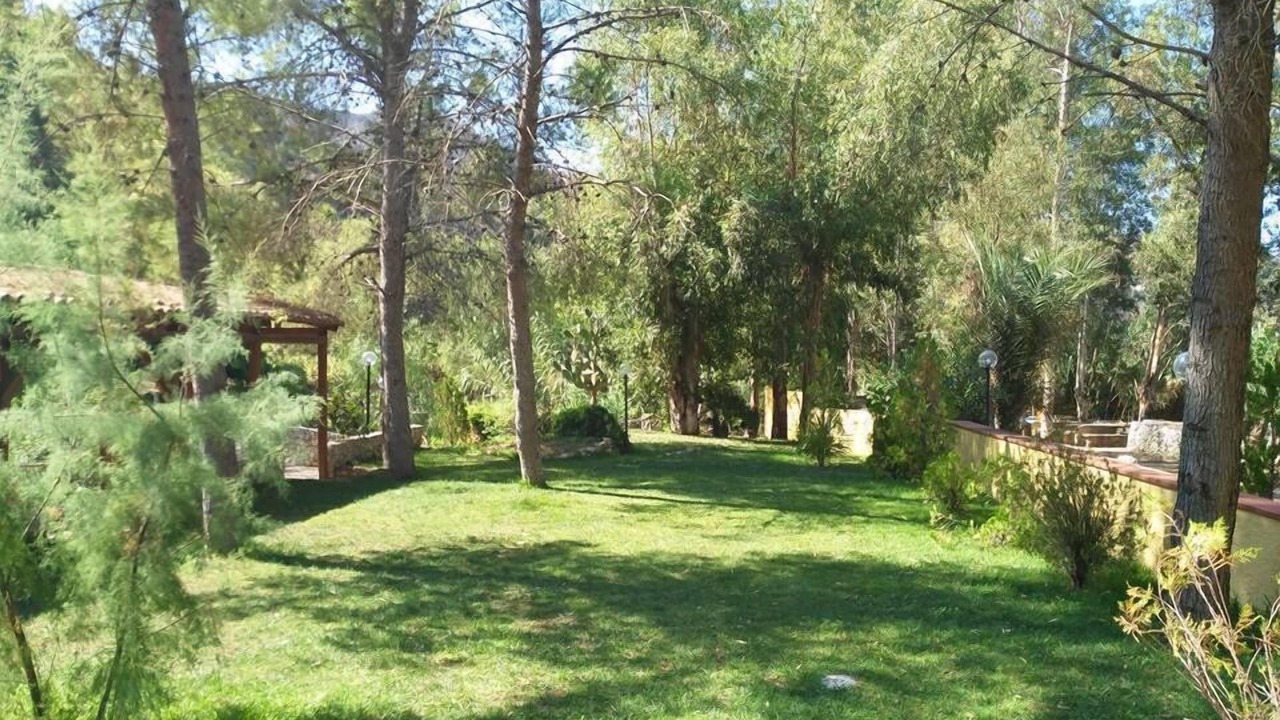 Photo of Outdoor in Montevago