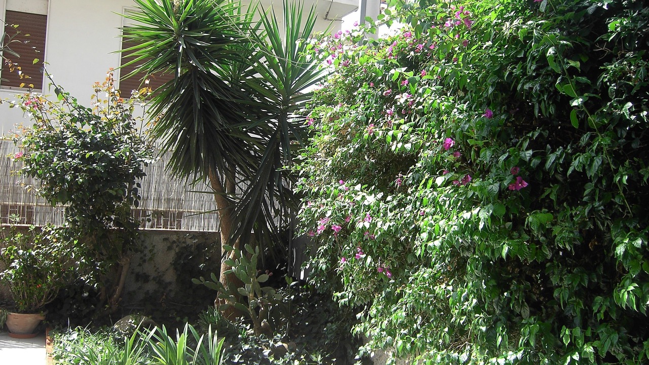 Photo of Outdoor in Motta Sant'Anastasia
