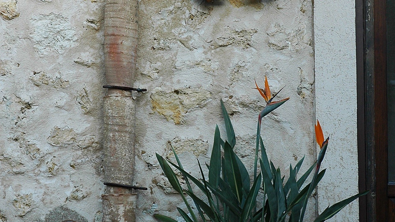 Photo of Outdoor in Naro