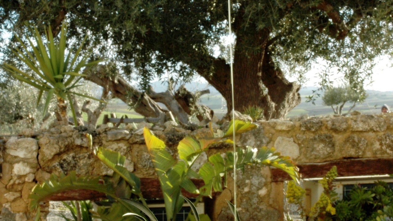 Photo of Others in Naro