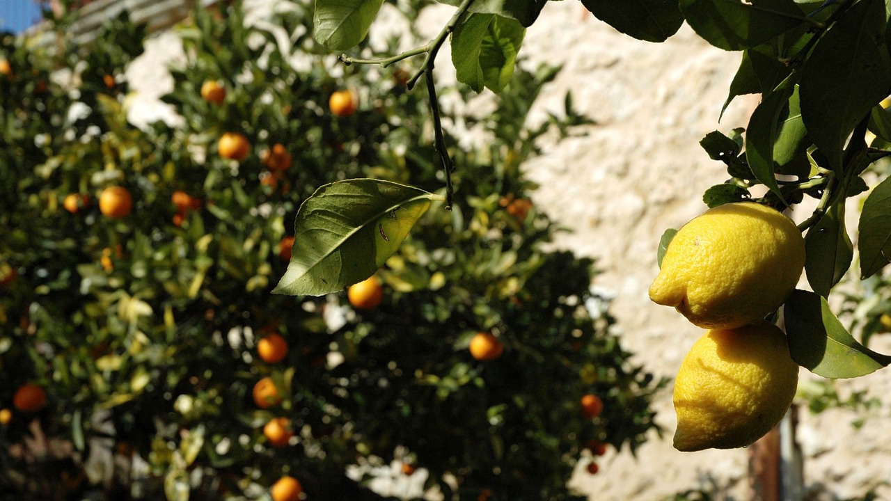 Photo of Outdoor in Naro