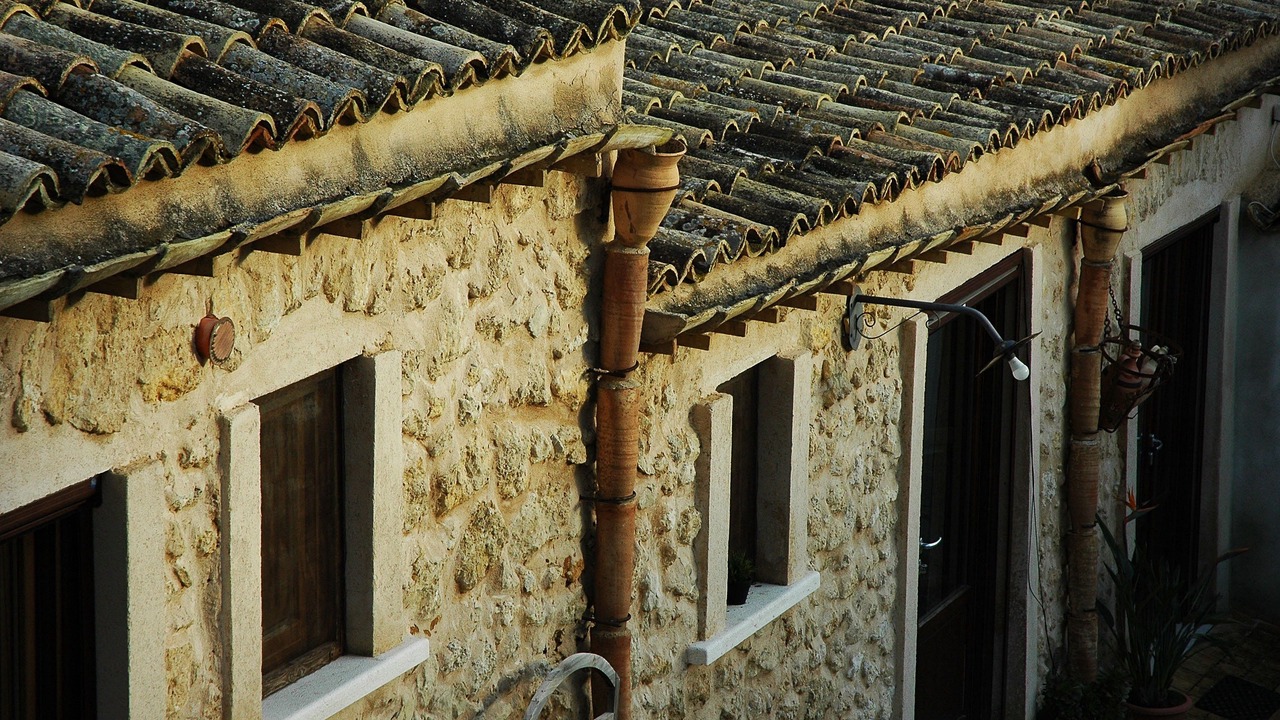 Photo of Outdoor in Naro