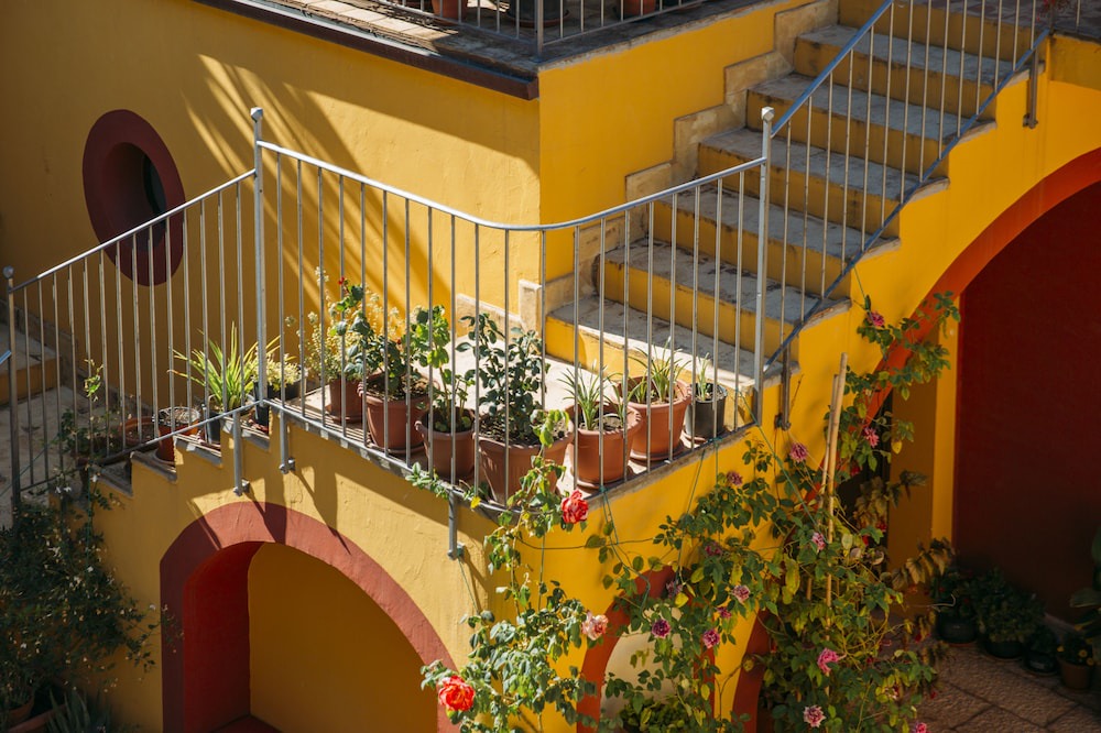 Photo of Outdoor in Purgatorio