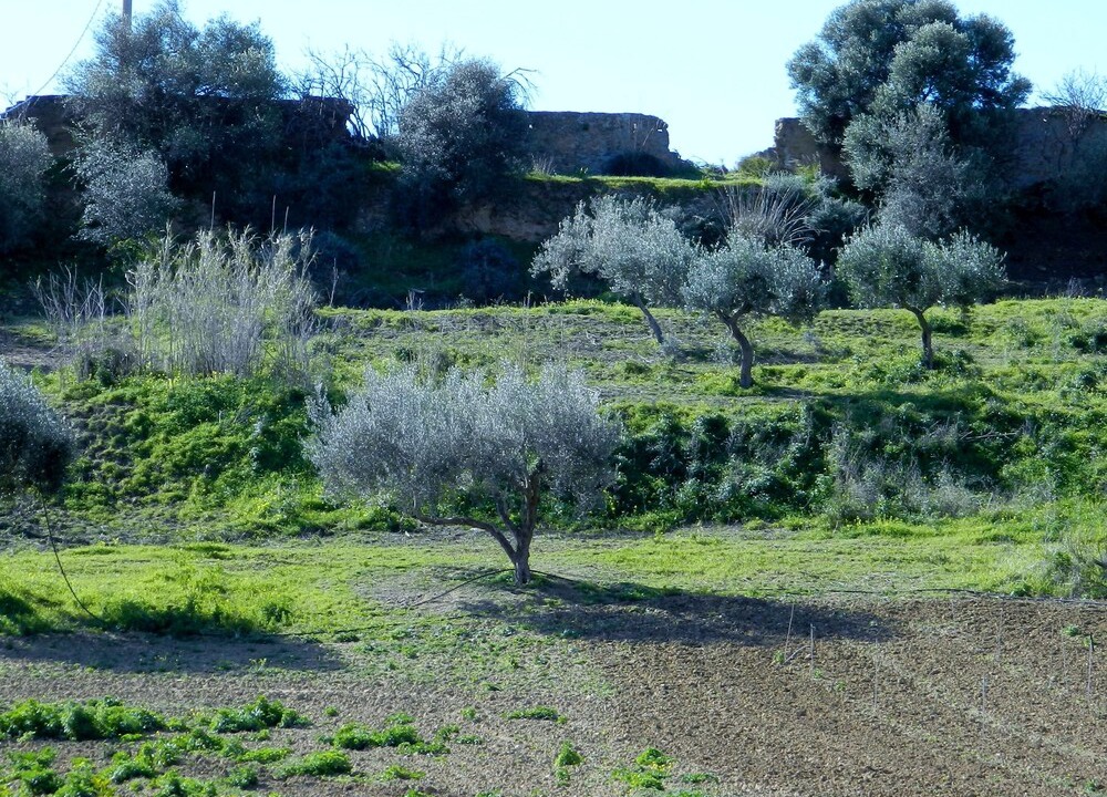 Photo of Outdoor in Villaseta
