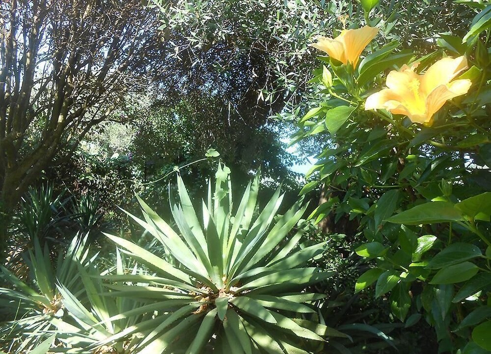 Photo of Outdoor in Lipari