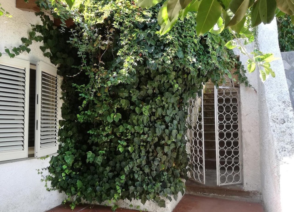 Photo of Outdoor in Lipari