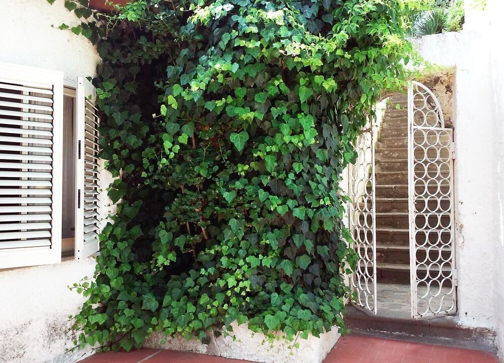 Photo of Outdoor in Lipari