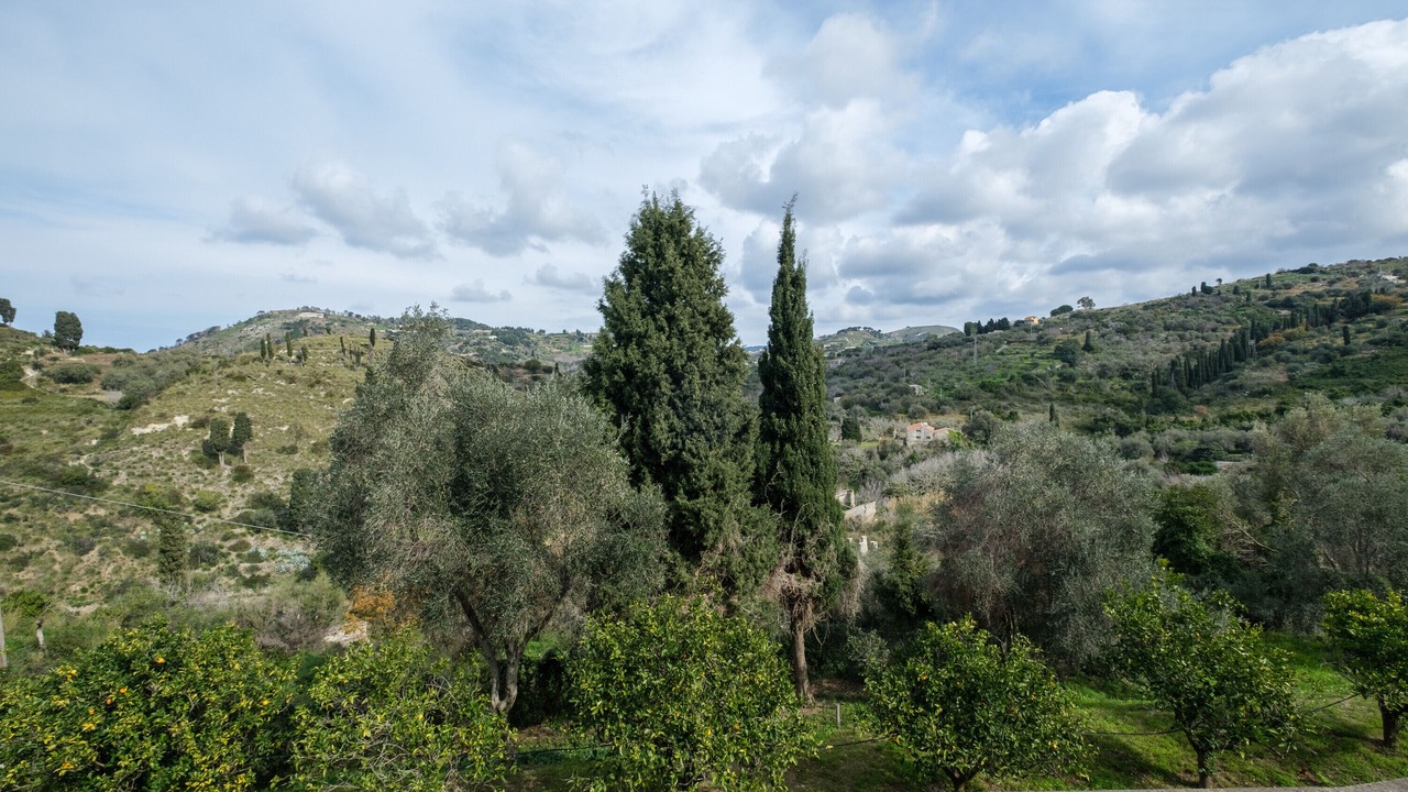 Photo of Others in Province of Messina