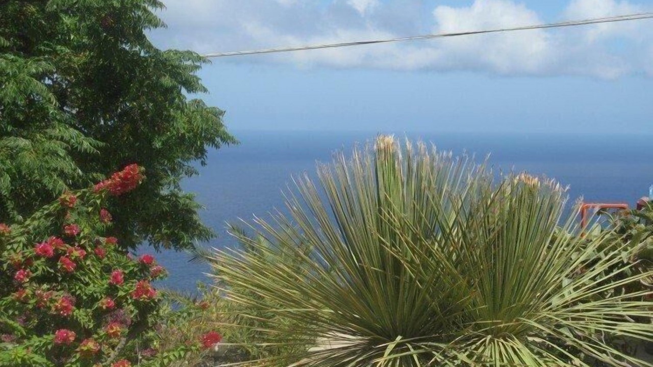 Photo of Outdoor in Kamma