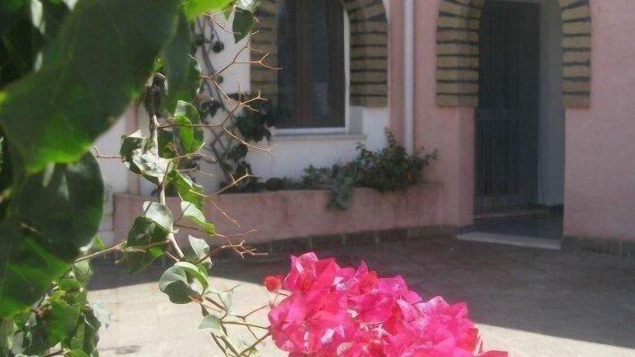 Photo of Outdoor in Kamma