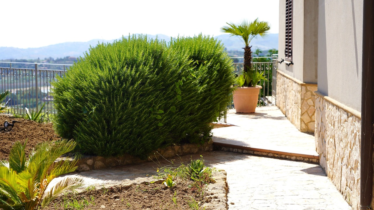 Photo of Outdoor in Pergusa