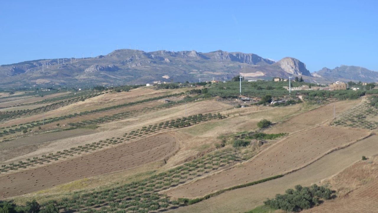 Photo of Others in Sciacca