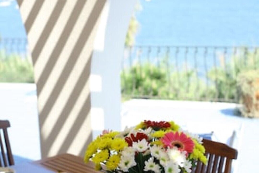 Photo of Outdoor in Porticello