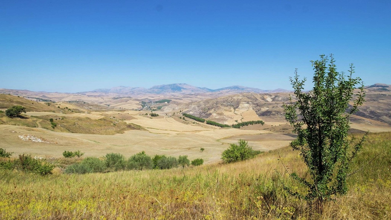 Photo of Outdoor in Landro