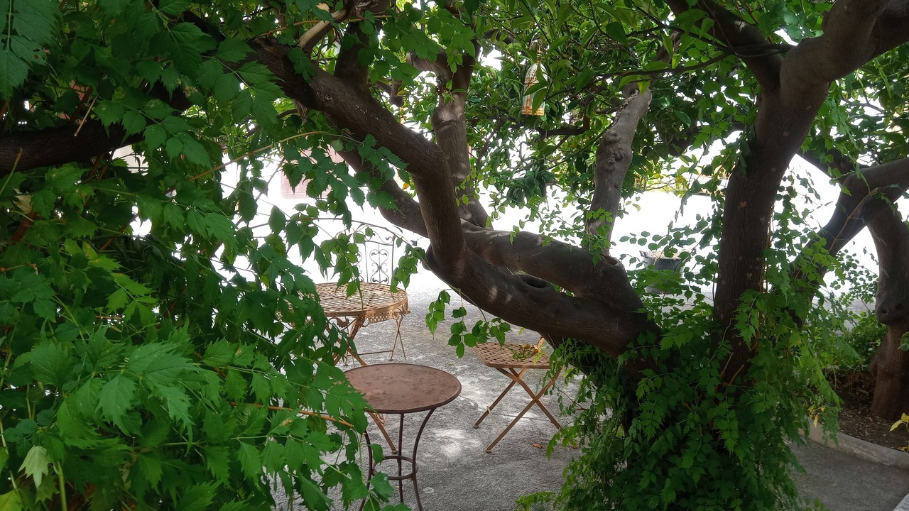 Photo of Patio Balcony in Mockarta