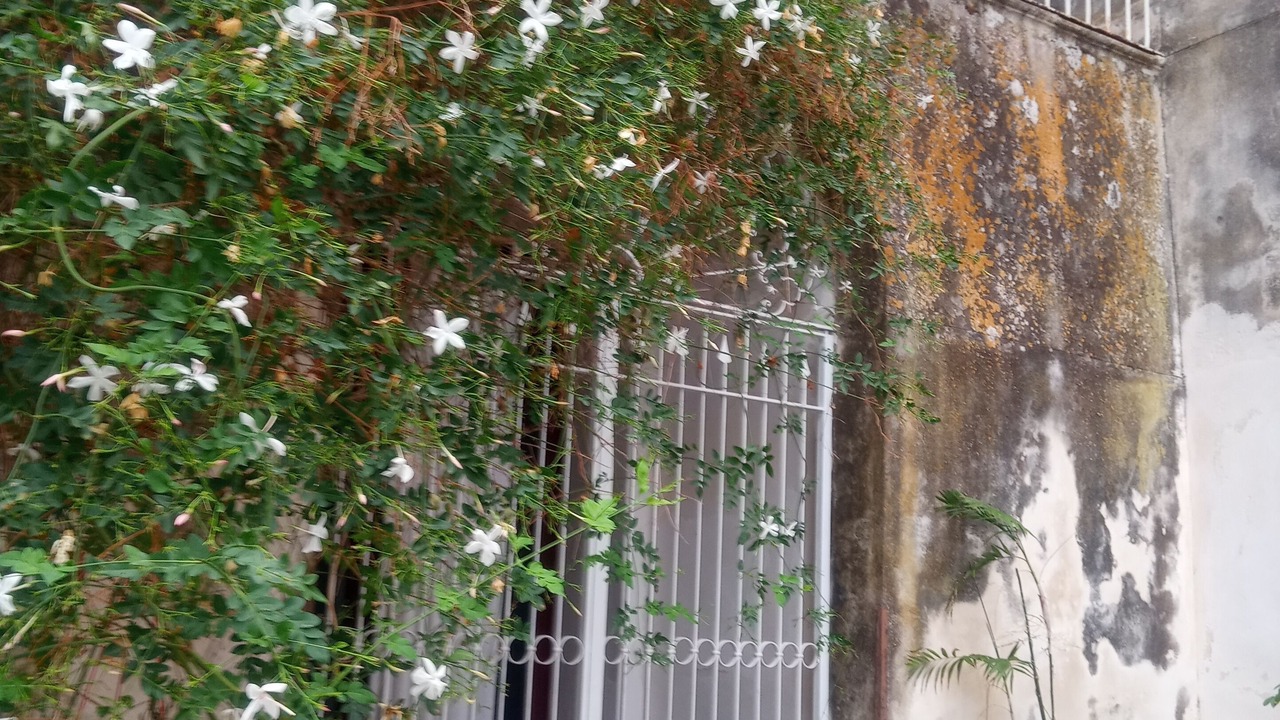 Photo of Outdoor in Mockarta