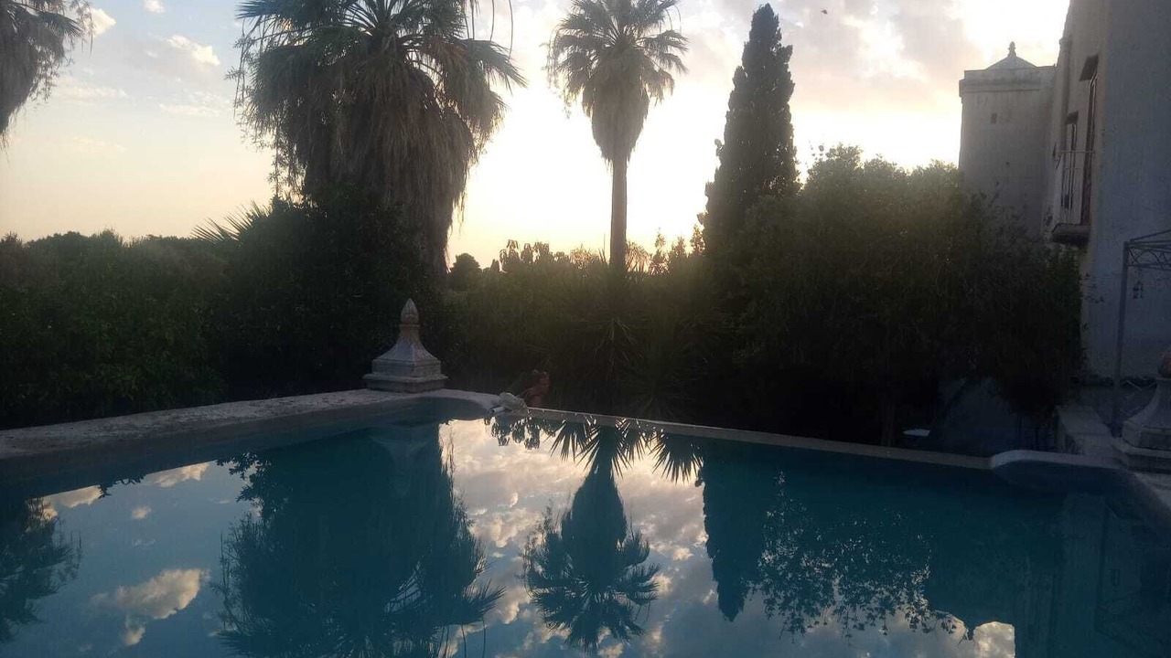 Photo of Outdoor in Mockarta