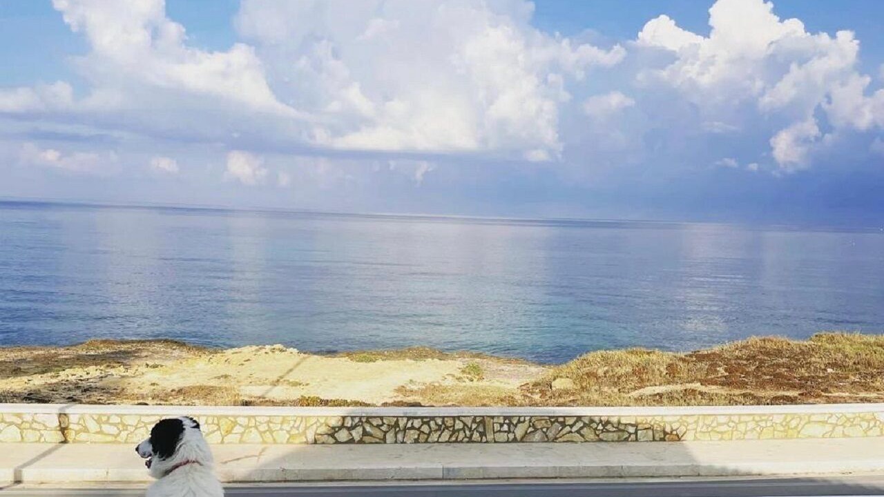 Photo of Outdoor in Mazara del Vallo