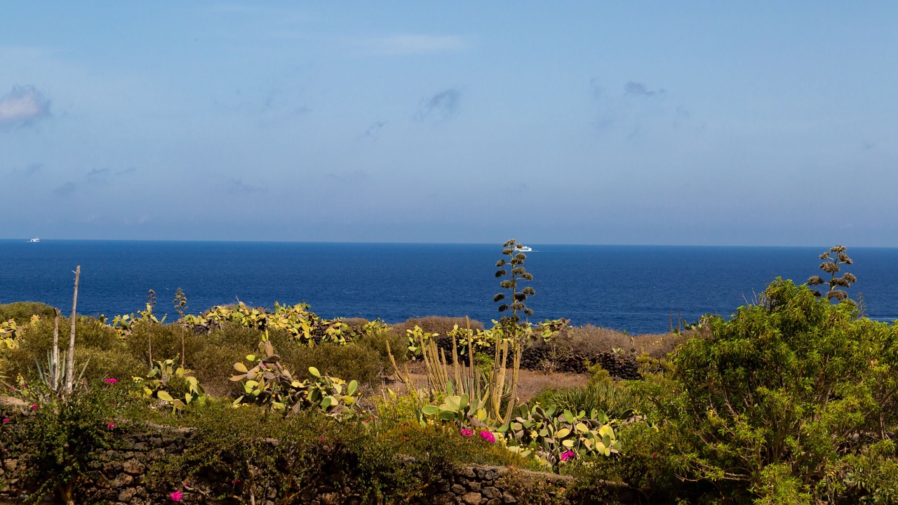 Photo of Outdoor in Pantelleria