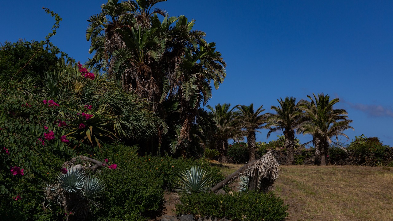 Photo of Outdoor in Pantelleria