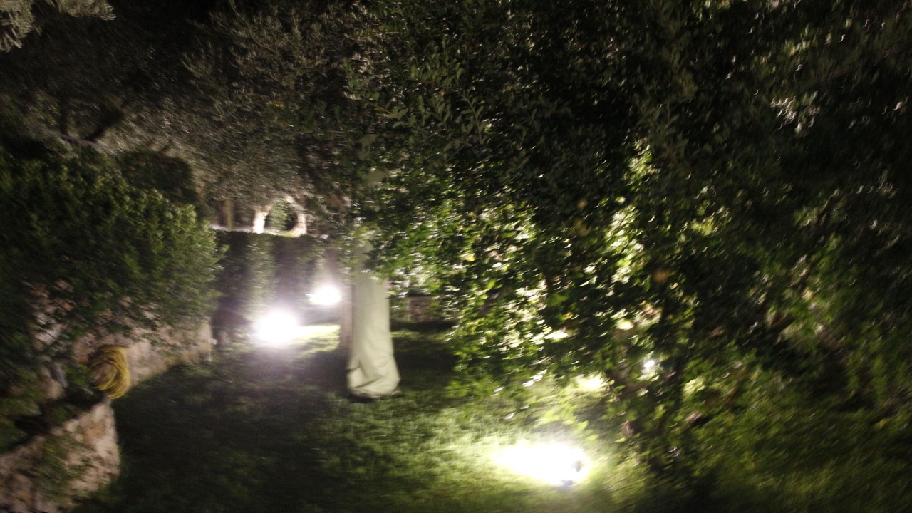 Photo of Outdoor in Anacapri