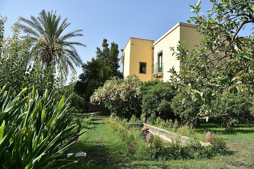 Photo of Outdoor in Archi