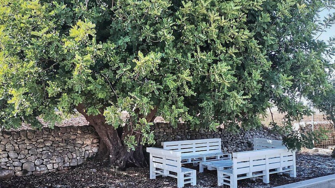 Photo of Outdoor in Rosolini