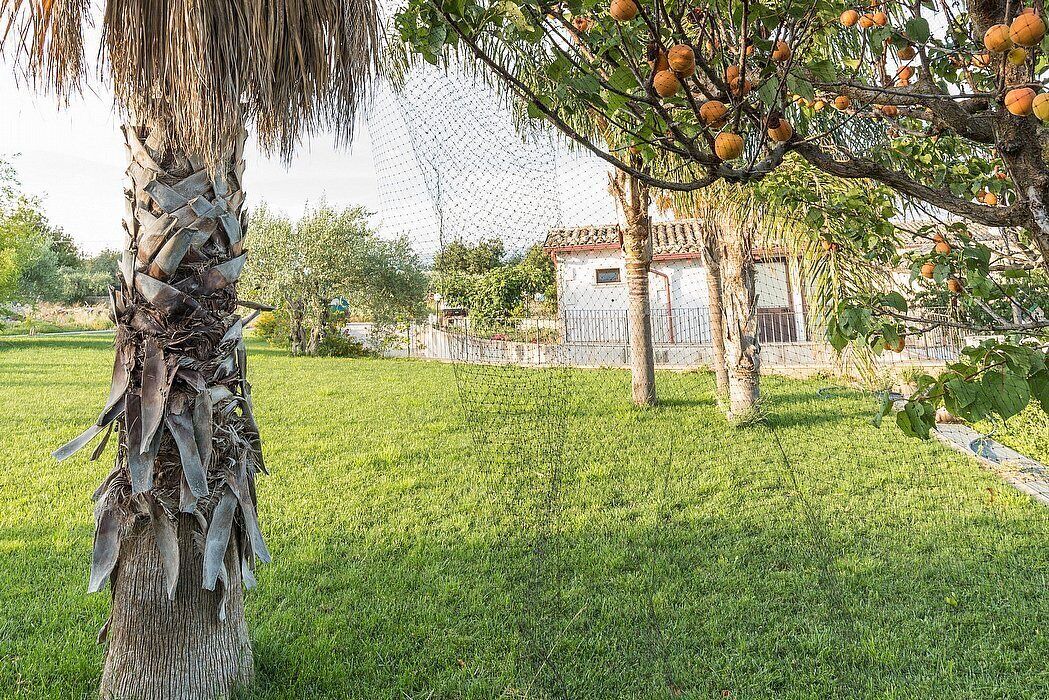 Photo of Outdoor in Casa Papa
