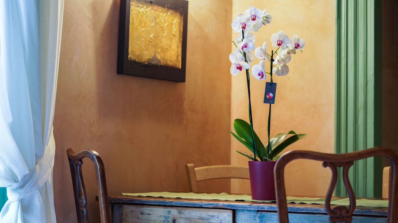 Photo of Livingroom in Catania City Centre
