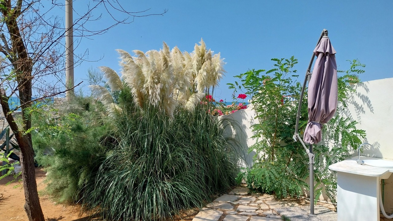 Photo of Outdoor in Granelli