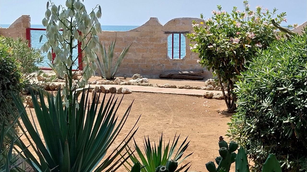 Photo of Outdoor in Granelli