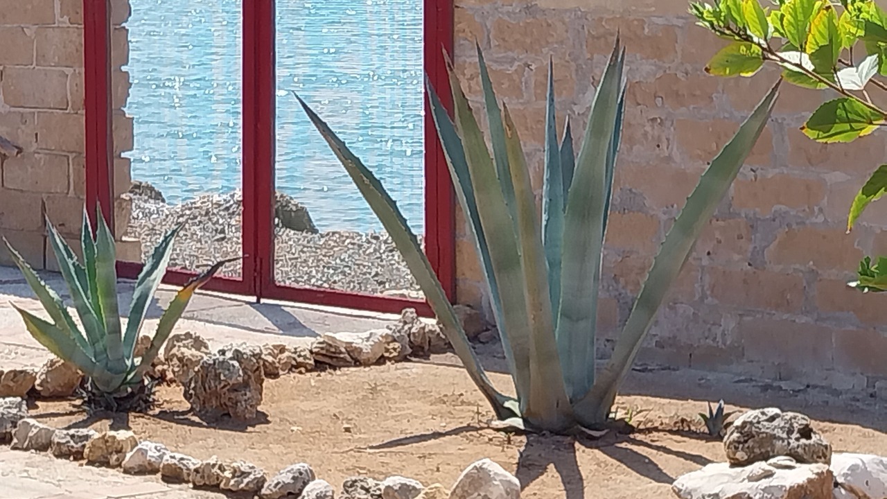 Photo of Outdoor in Granelli