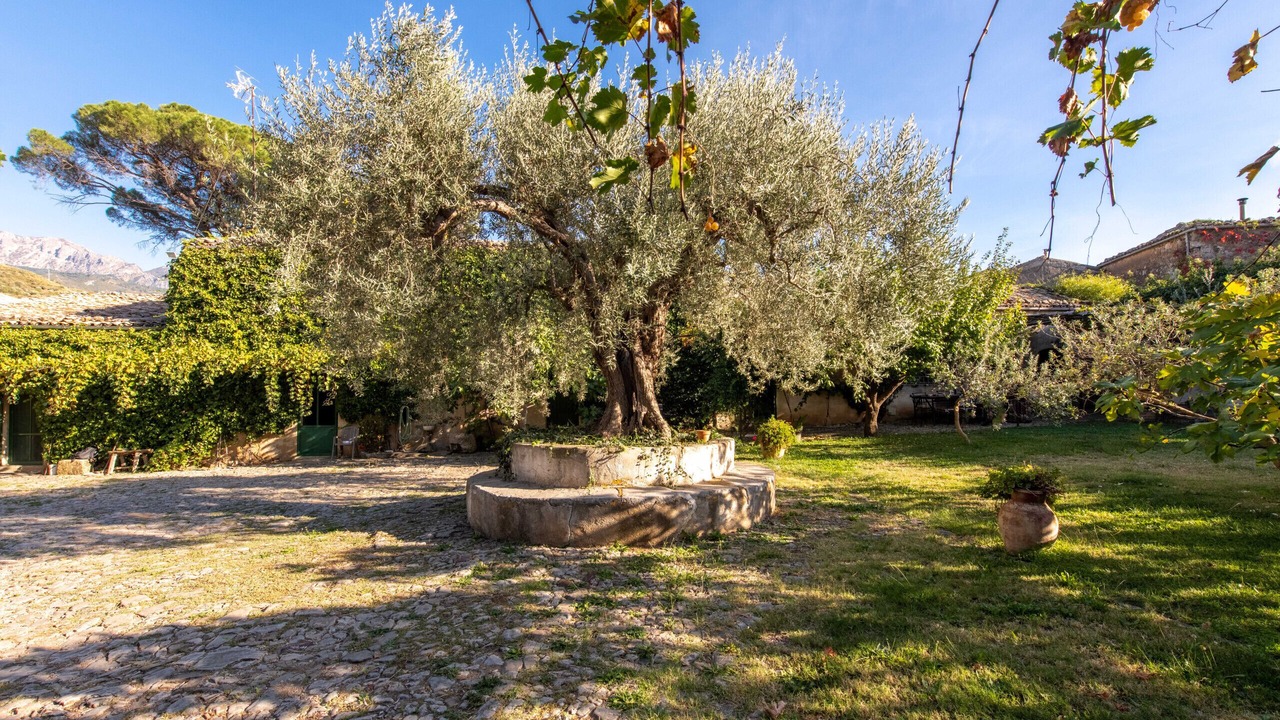 Photo of Outdoor in Scillato