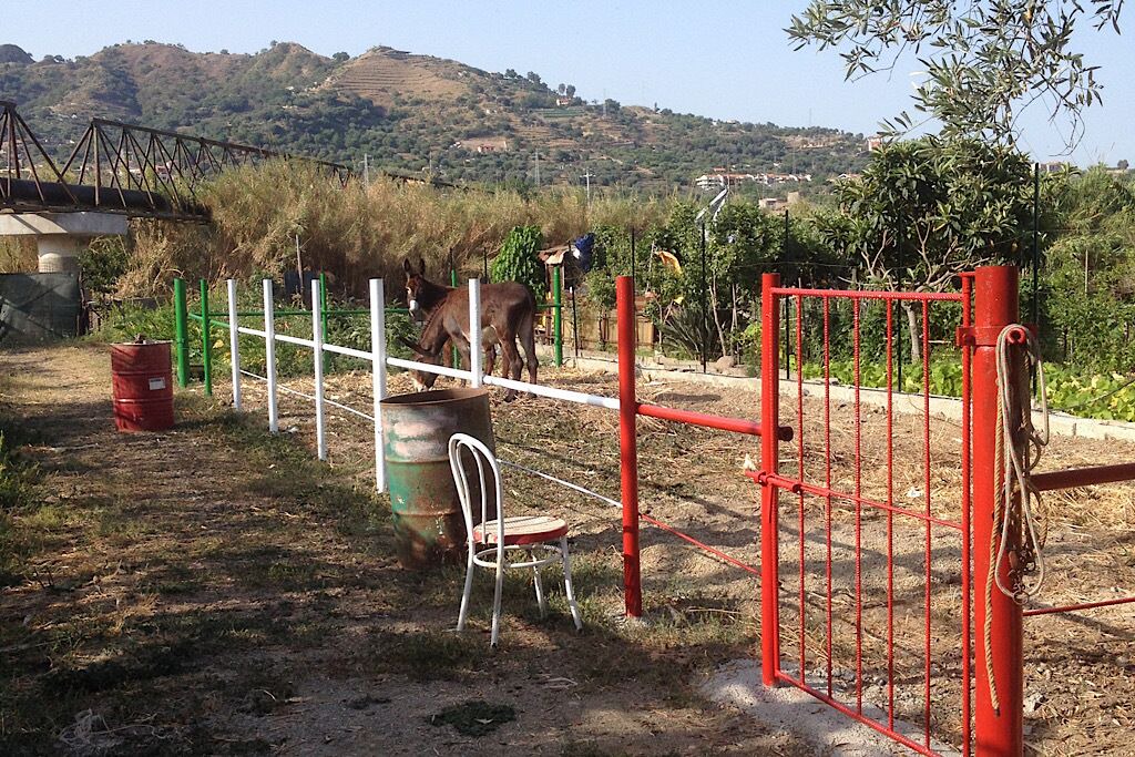 Photo of Outdoor in Sant'Alessio Siculo