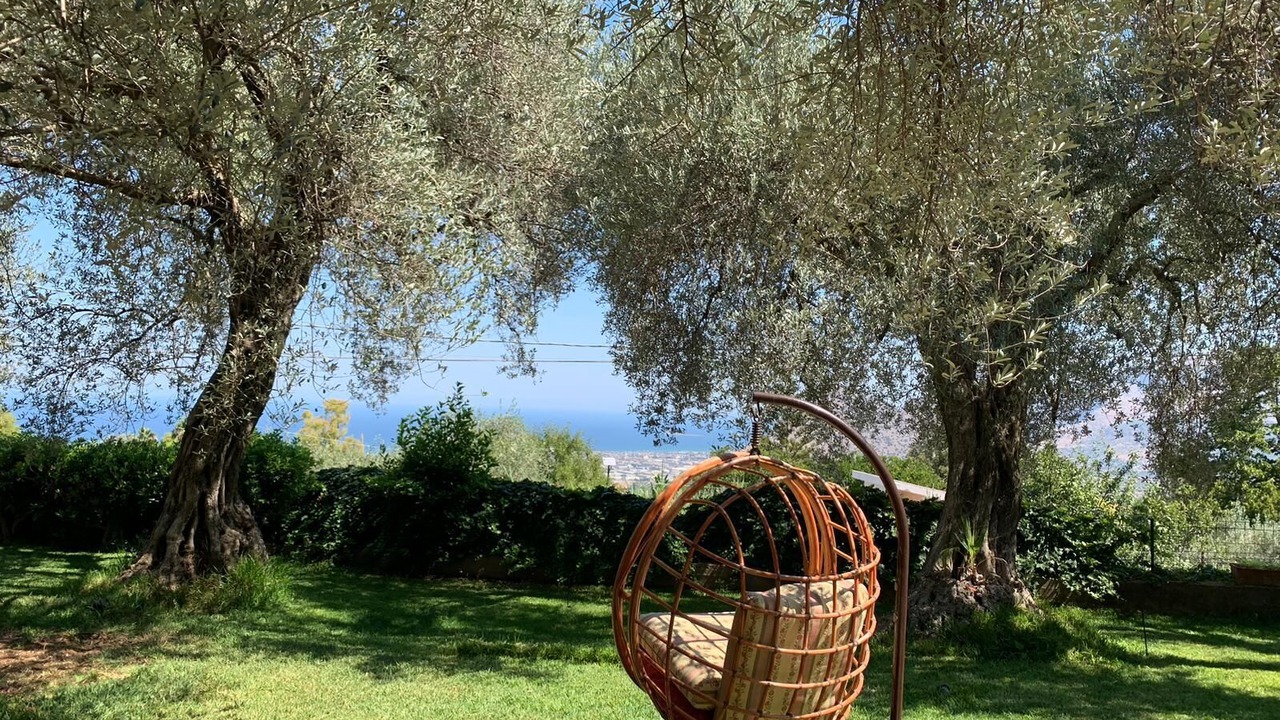 Photo of Outdoor in Carini