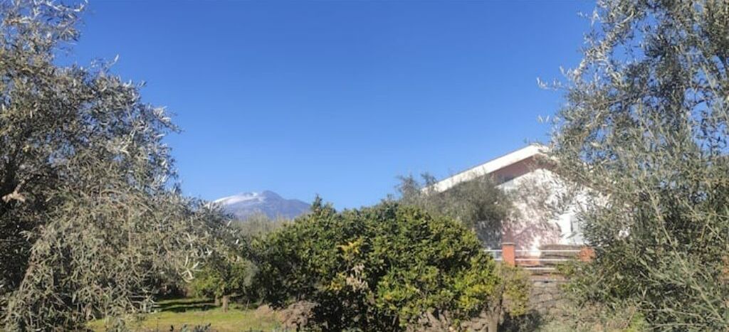 Photo of Outdoor in Belpasso