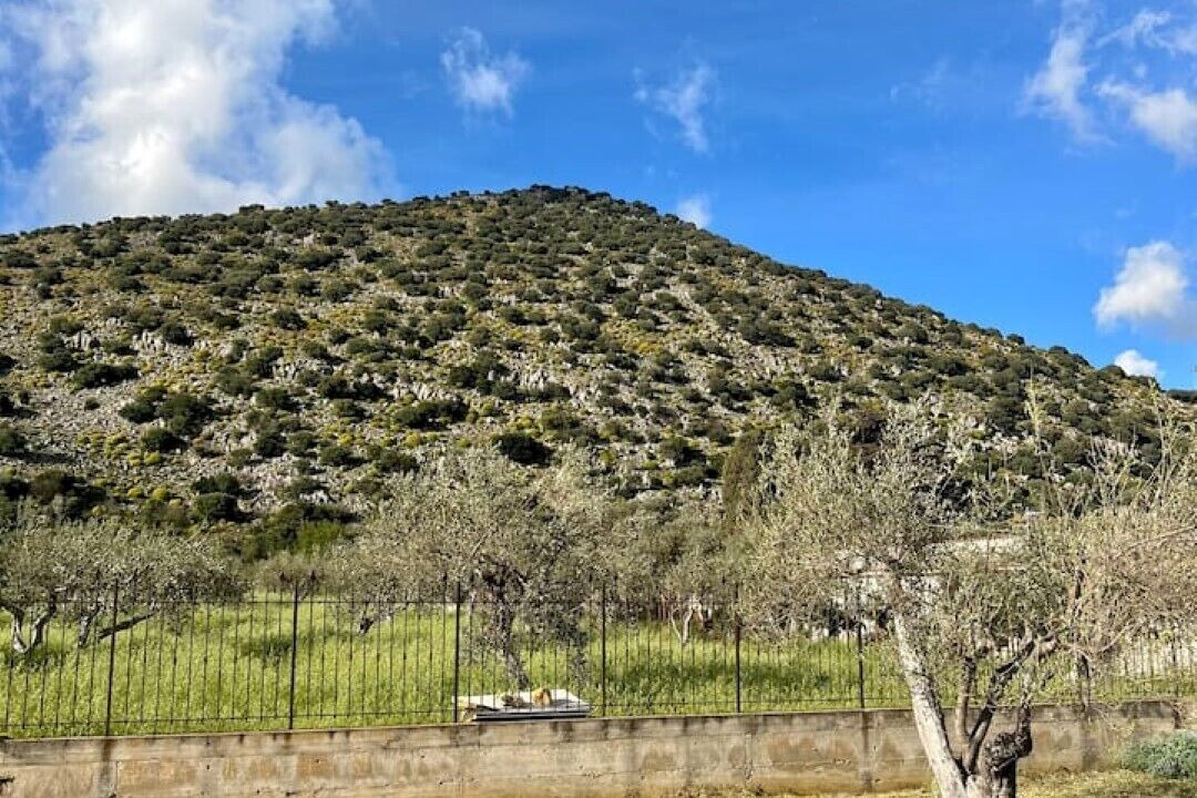 Photo of Others in Torretta
