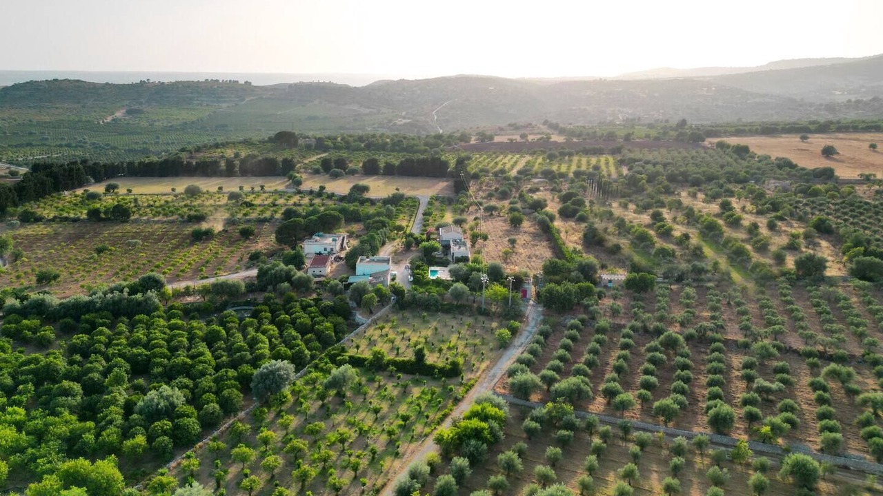 Photo of Outdoor in Noto