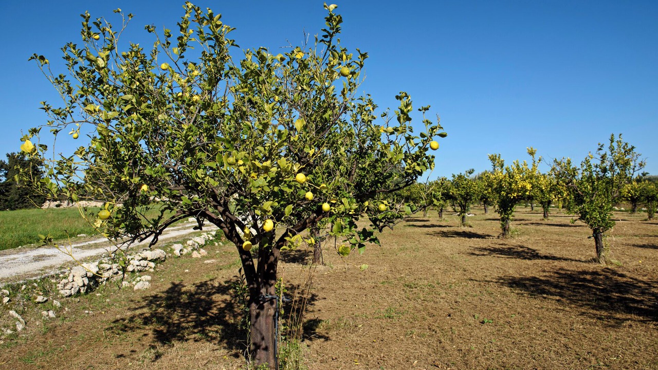 Photo of Outdoor in Noto