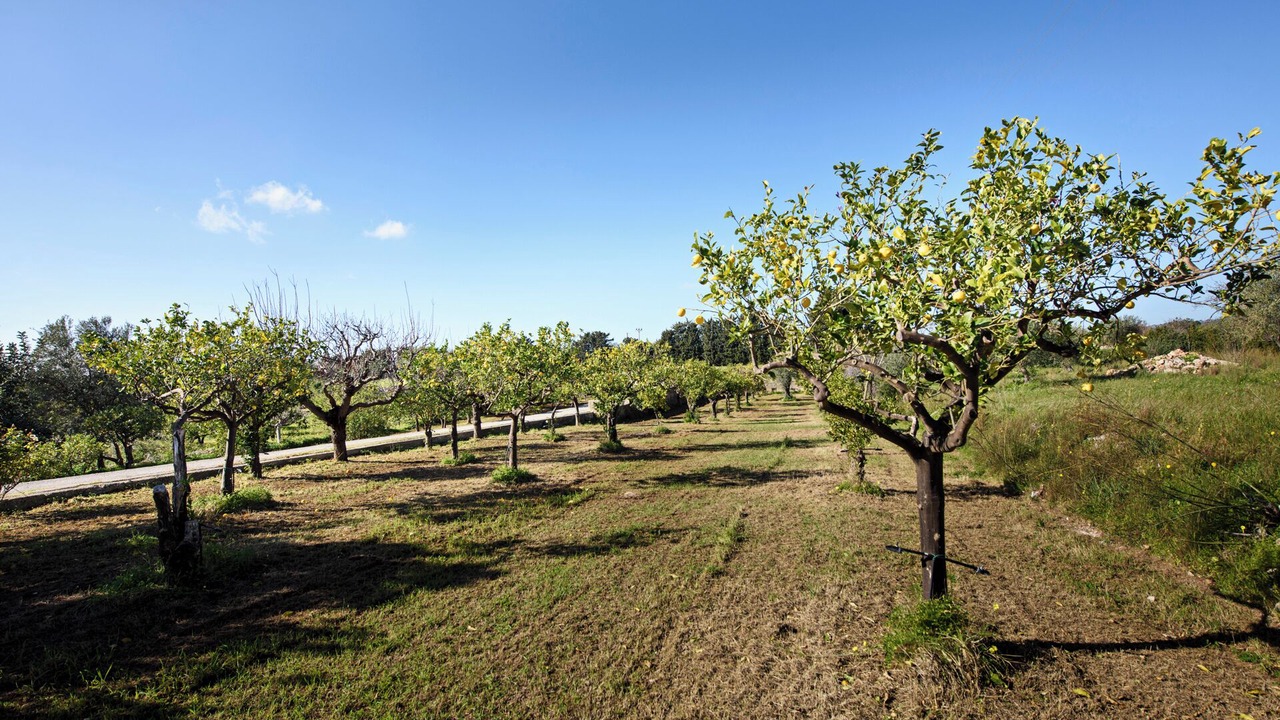 Photo of Outdoor in Noto