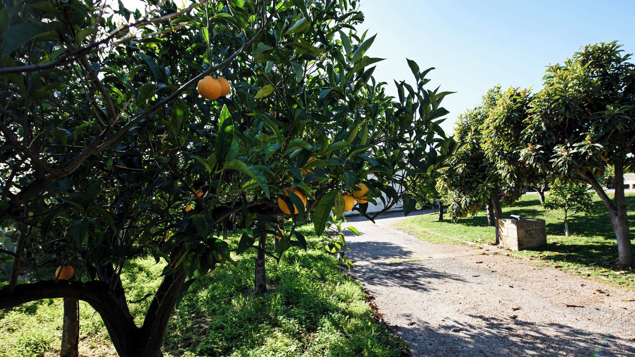 Photo of Outdoor in Noto